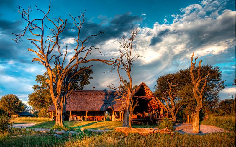 Victoria Falls og Hwange nasjonalparken i Zimbabwe.