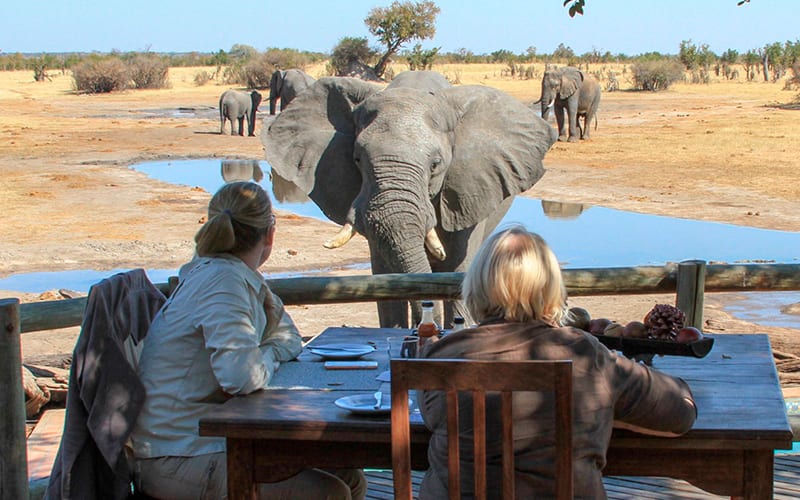 Safari i Botswana
