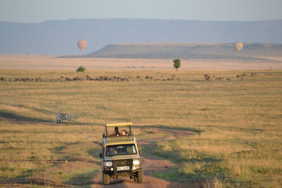Safari i Kenya 